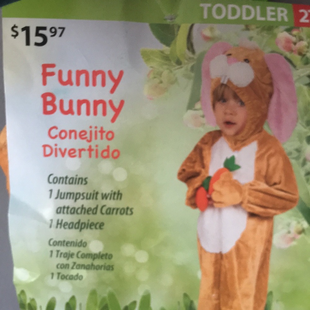 Bunny Costume 🐰